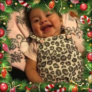 Meet your Posher, Dora